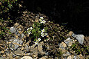 BUITEN BEELD Foto: 445435