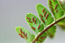 BUITEN BEELD Foto: 445436