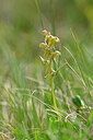BUITEN BEELD Foto: 445437