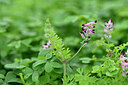 BUITEN BEELD Foto: 445438