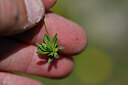 BUITEN BEELD Foto: 445454