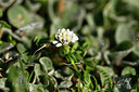 BUITEN BEELD Foto: 445455