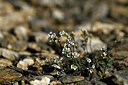 BUITEN BEELD Foto: 445459
