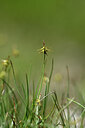 BUITEN BEELD Foto: 445462