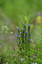 BUITEN BEELD Foto: 445463