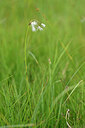 BUITEN BEELD Foto: 445467