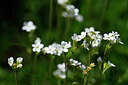 BUITEN BEELD Foto: 445469
