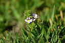 BUITEN BEELD Foto: 445472