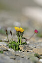 BUITEN BEELD Foto: 445477