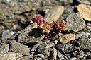 BUITEN BEELD Foto: 445484