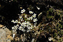BUITEN BEELD Foto: 445485