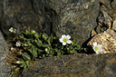 BUITEN BEELD Foto: 445490