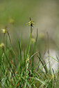 BUITEN BEELD Foto: 445491
