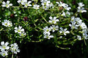 BUITEN BEELD Foto: 445492