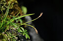 BUITEN BEELD Foto: 445493