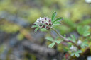 BUITEN BEELD Foto: 445497