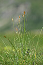 BUITEN BEELD Foto: 445501