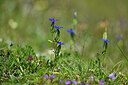 BUITEN BEELD Foto: 445502