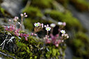 BUITEN BEELD Foto: 445506