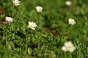 BUITEN BEELD Foto: 445508