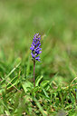 BUITEN BEELD Foto: 445513