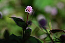 BUITEN BEELD Foto: 445514