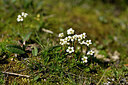 BUITEN BEELD Foto: 445520