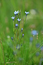 BUITEN BEELD Foto: 445529