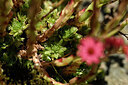 BUITEN BEELD Foto: 445530
