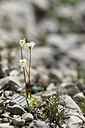 BUITEN BEELD Foto: 445545