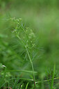 BUITEN BEELD Foto: 445547