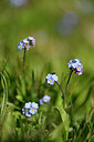 BUITEN BEELD Foto: 445548