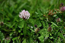 BUITEN BEELD Foto: 445549