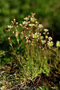 BUITEN BEELD Foto: 445551