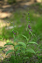 BUITEN BEELD Foto: 445552