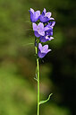 BUITEN BEELD Foto: 445561