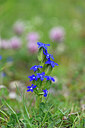 BUITEN BEELD Foto: 445563