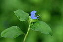 BUITEN BEELD Foto: 445566