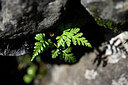 BUITEN BEELD Foto: 445568