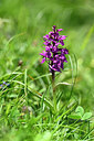 BUITEN BEELD Foto: 445569