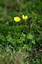 BUITEN BEELD Foto: 445570