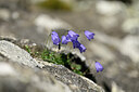 BUITEN BEELD Foto: 445572
