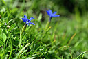 BUITEN BEELD Foto: 445573