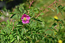 BUITEN BEELD Foto: 445574