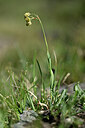 BUITEN BEELD Foto: 445581