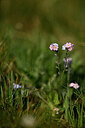BUITEN BEELD Foto: 445586