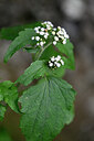 BUITEN BEELD Foto: 445595