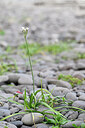 BUITEN BEELD Foto: 445598