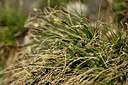 BUITEN BEELD Foto: 445599