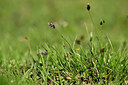 BUITEN BEELD Foto: 445600